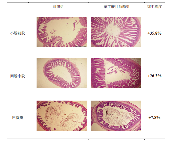 单丁酸甘油酯对比图