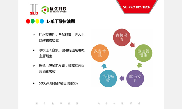 单丁酸甘油酯的功能特点