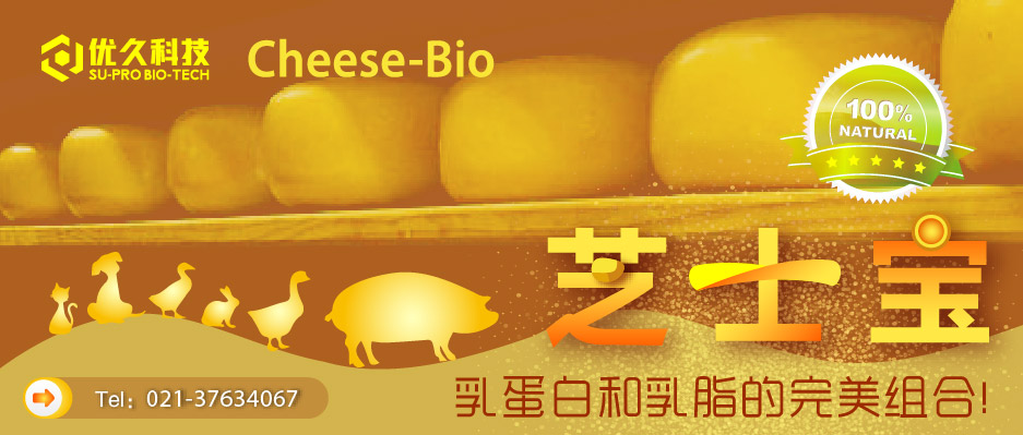 奶酪粉 奶酪粉