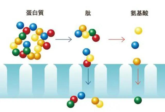 示意图