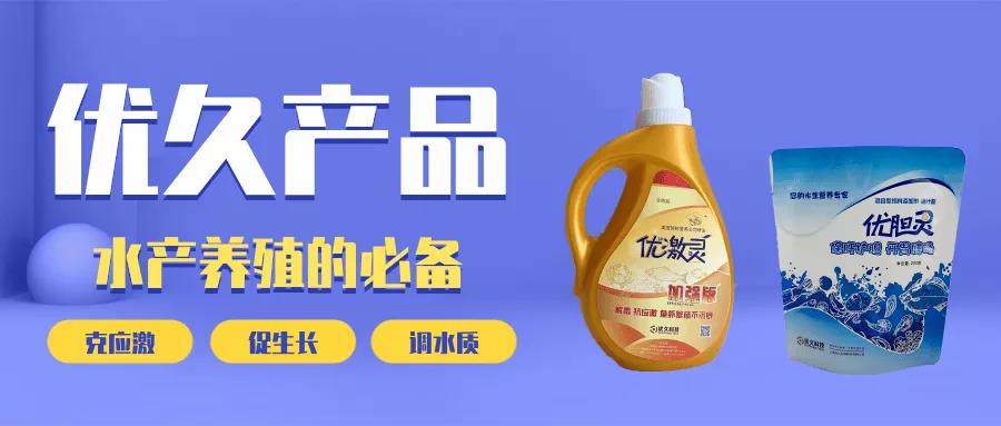 产品海报