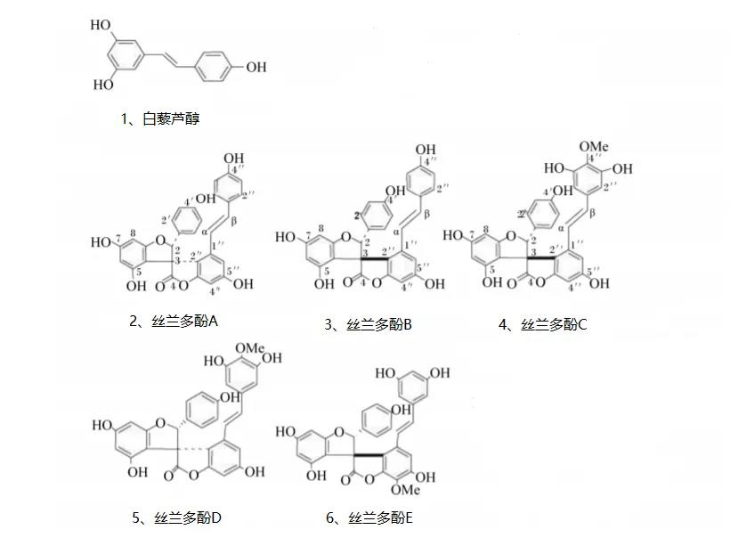 丝兰宝