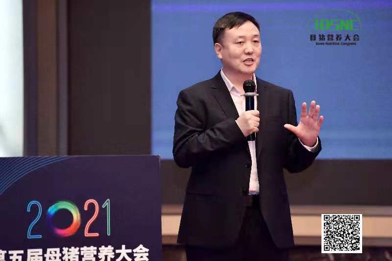 母猪营养大会