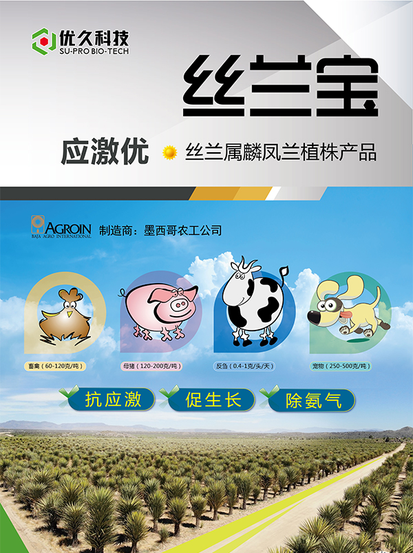 丝兰宝
